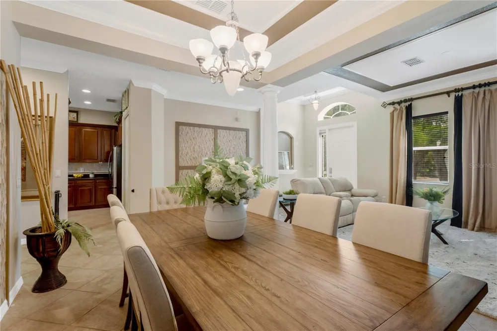 19908 BLUFF OAK BOULEVARD Tampa, FL 33647