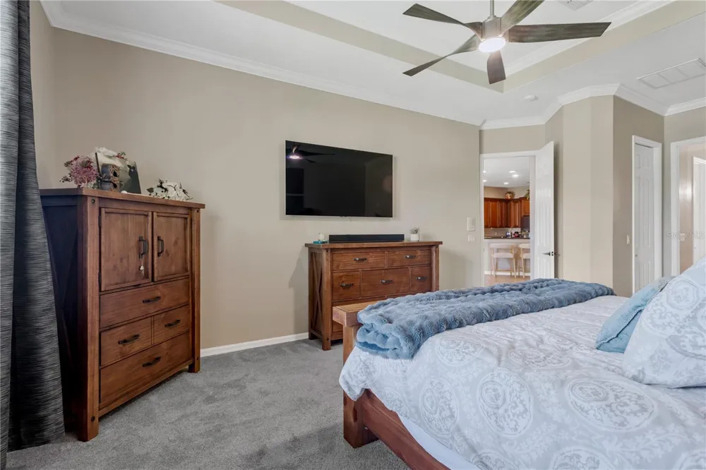 19908 BLUFF OAK BOULEVARD Tampa, FL 33647