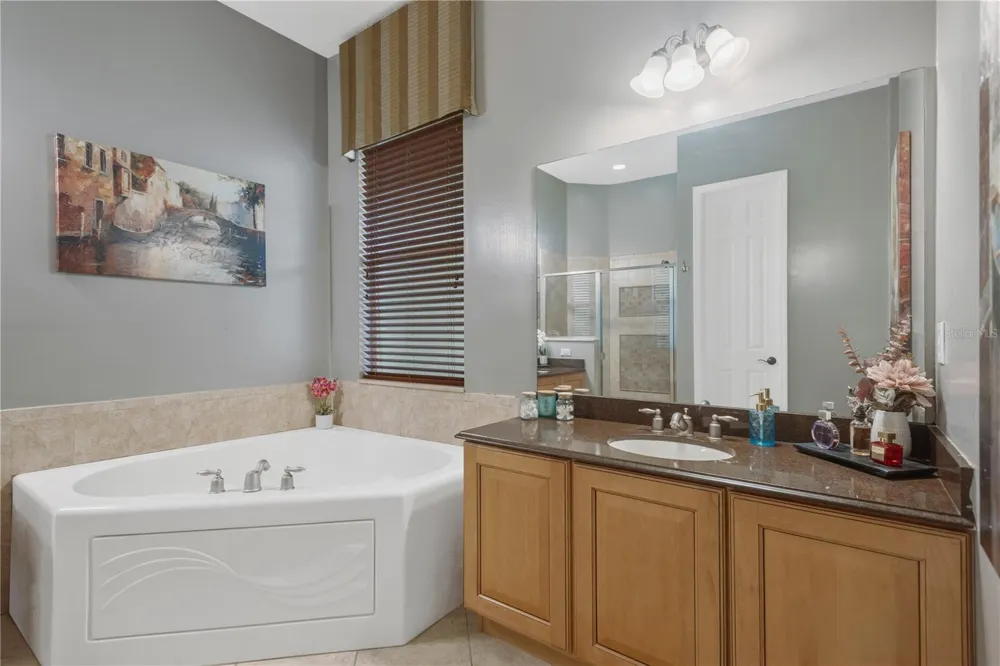 19908 BLUFF OAK BOULEVARD Tampa, FL 33647