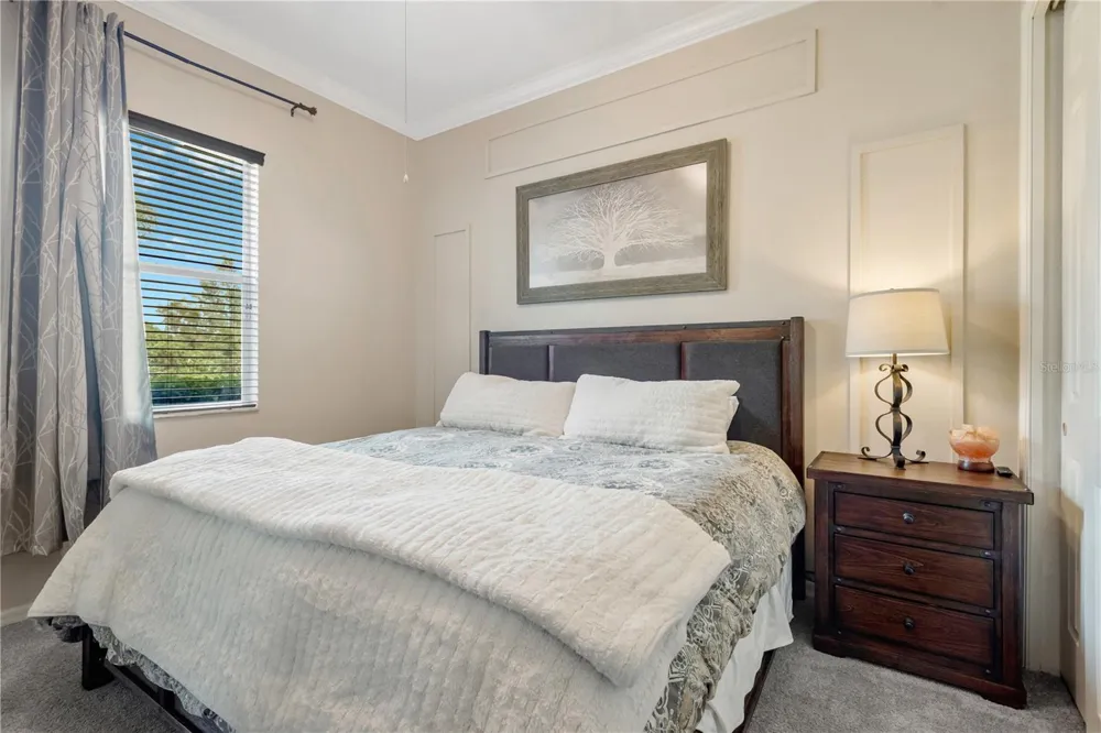 19908 BLUFF OAK BOULEVARD Tampa, FL 33647
