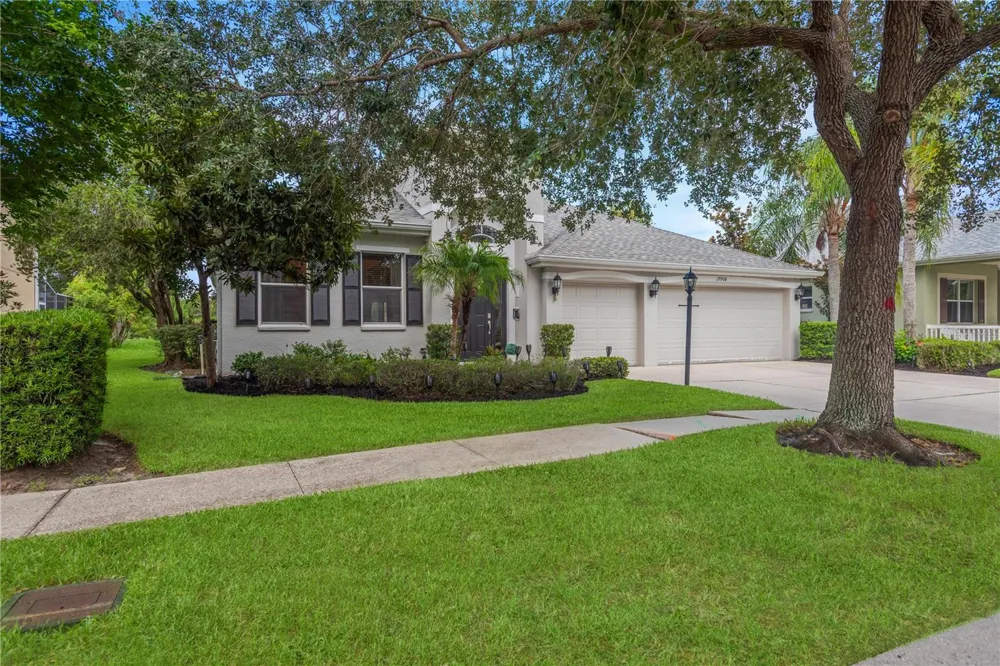 19908 BLUFF OAK BOULEVARD Tampa, FL 33647