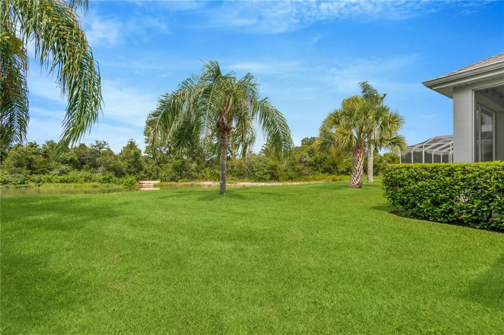 19908 BLUFF OAK BOULEVARD Tampa, FL 33647
