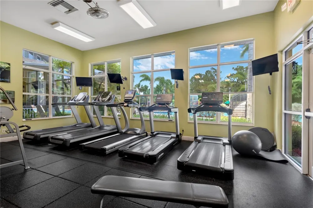 19908 BLUFF OAK BOULEVARD Tampa, FL 33647