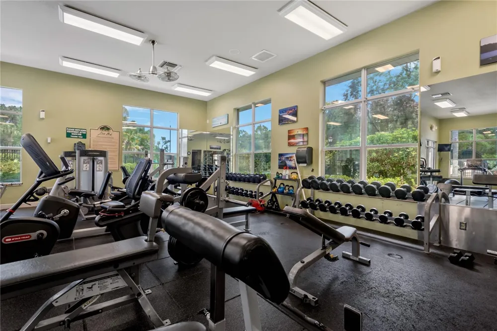 19908 BLUFF OAK BOULEVARD Tampa, FL 33647