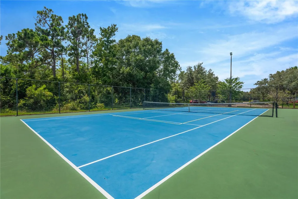 19908 BLUFF OAK BOULEVARD Tampa, FL 33647