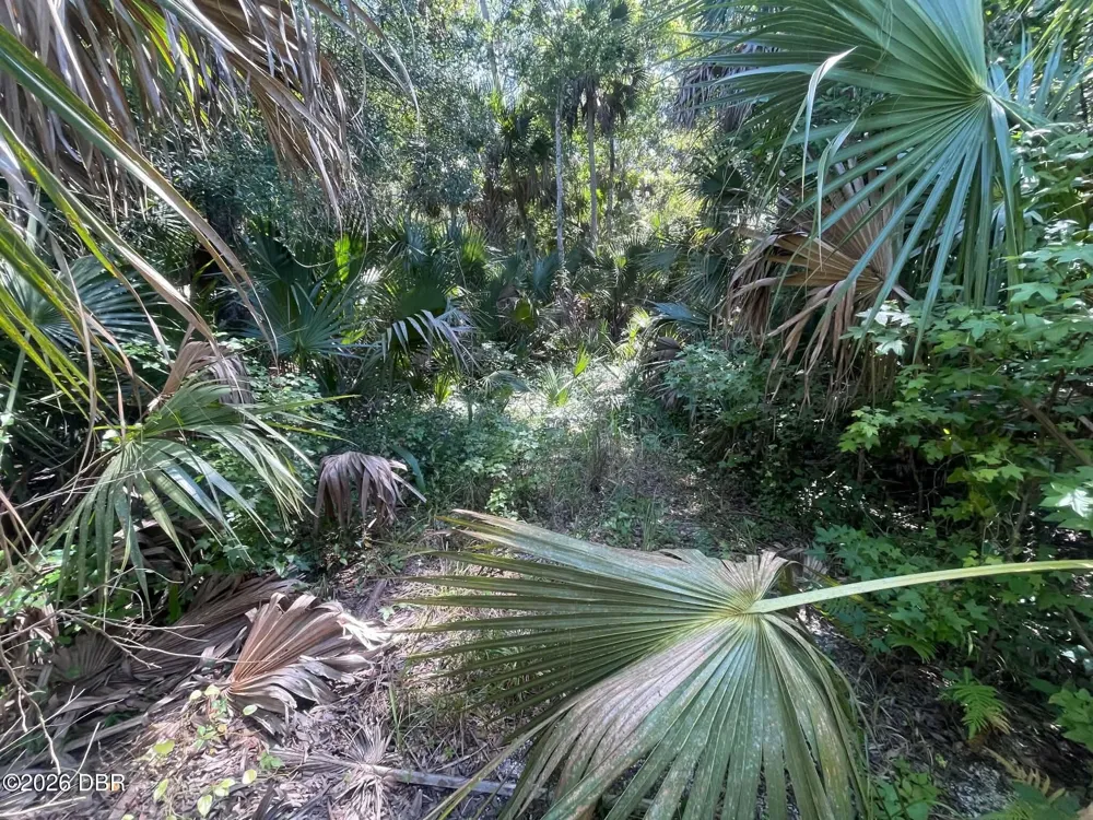 Old Mission Road New Smyrna Beach, FL 32168