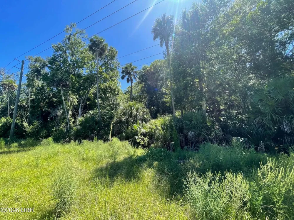 Old Mission Road New Smyrna Beach, FL 32168