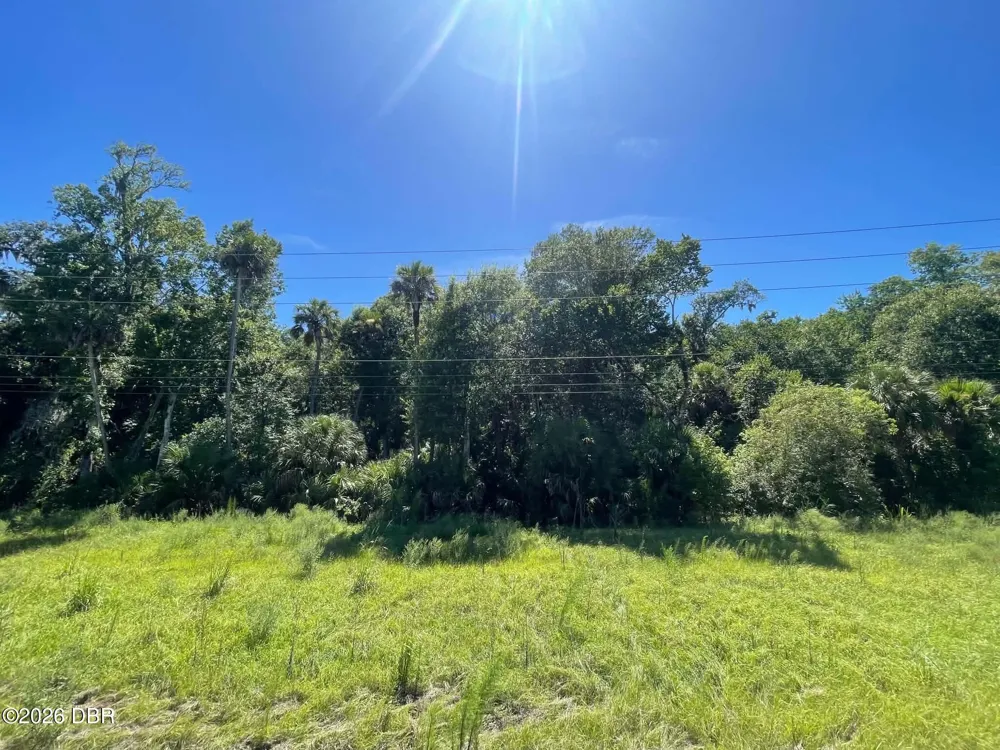 Old Mission Road New Smyrna Beach, FL 32168