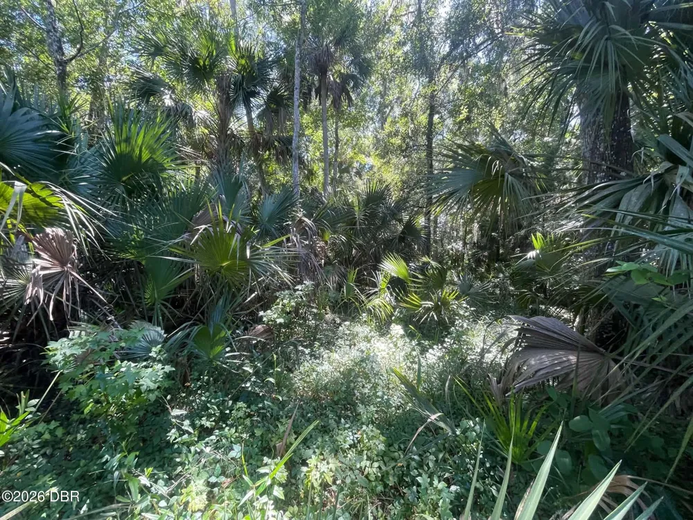 Old Mission Road New Smyrna Beach, FL 32168