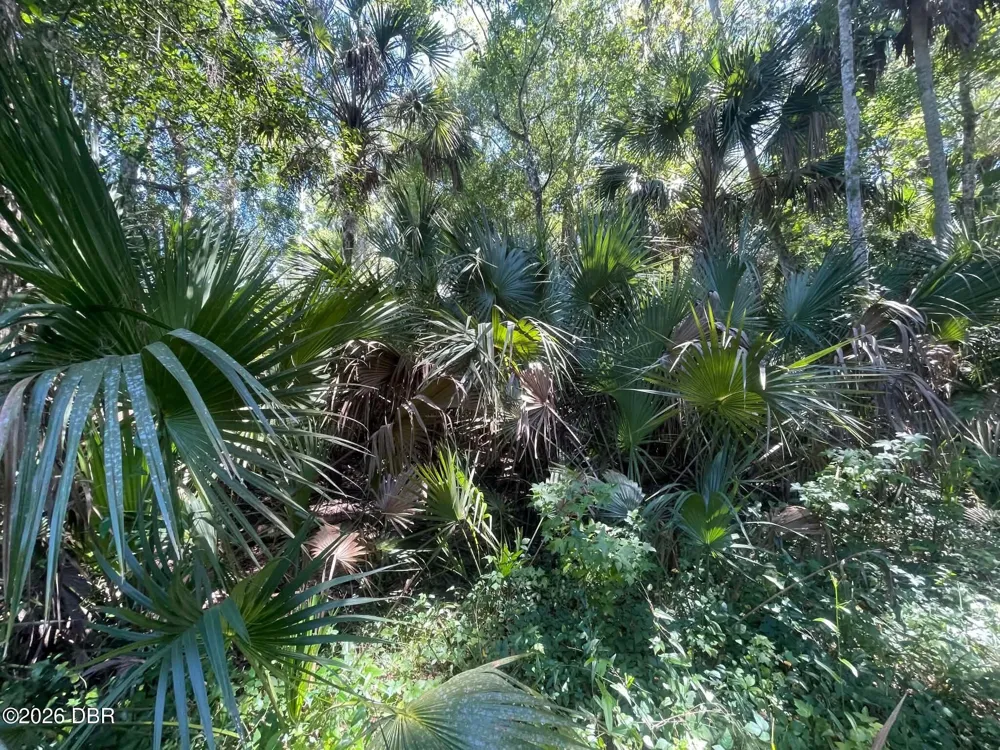 Old Mission Road New Smyrna Beach, FL 32168