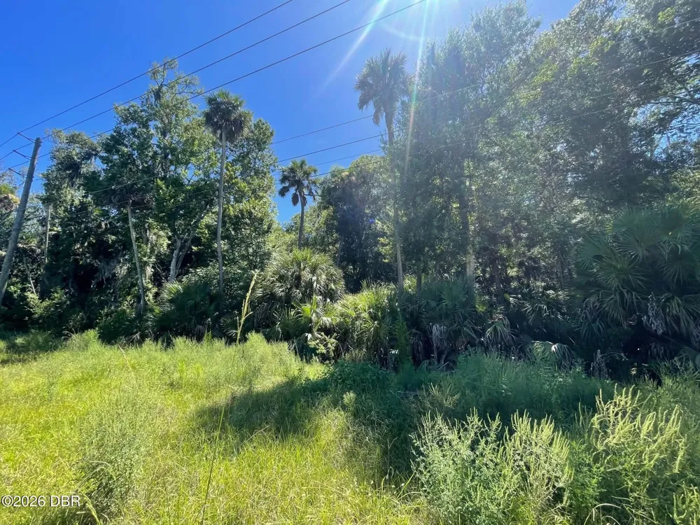 Old Mission Road New Smyrna Beach, FL 32168