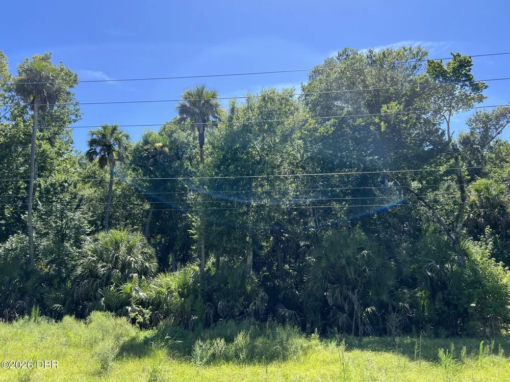 Old Mission Road New Smyrna Beach, FL 32168