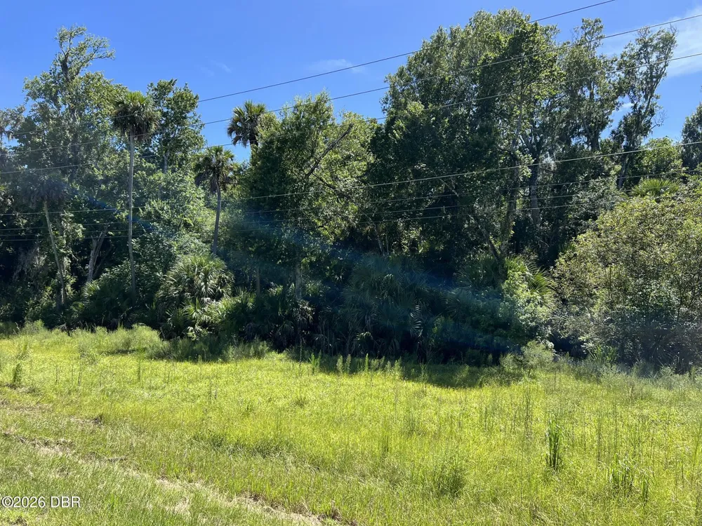 Old Mission Road New Smyrna Beach, FL 32168