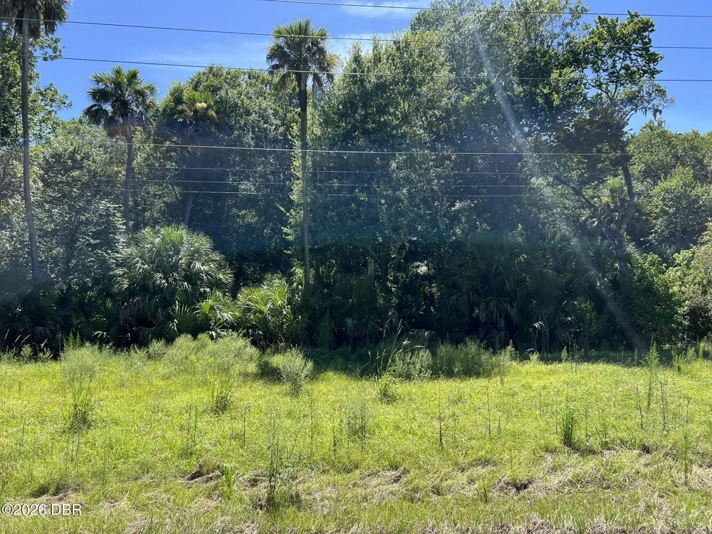 Old Mission Road New Smyrna Beach, FL 32168
