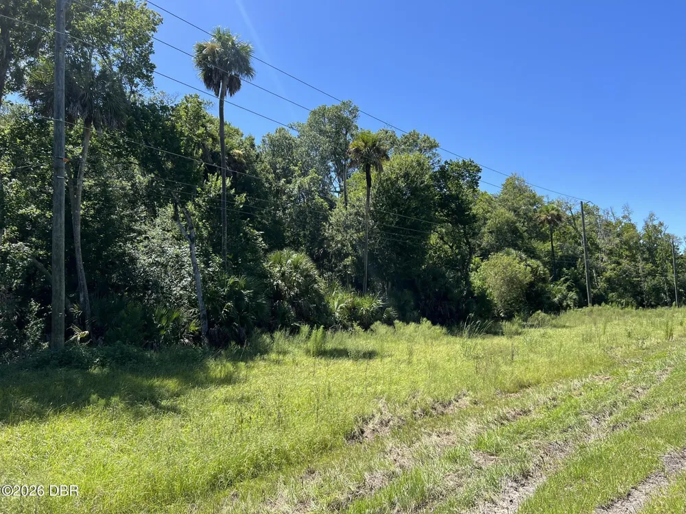 Old Mission Road New Smyrna Beach, FL 32168