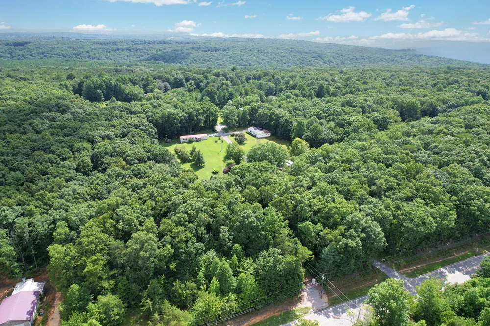 47 Stephens Lane Signal Mountain, TN 37377
