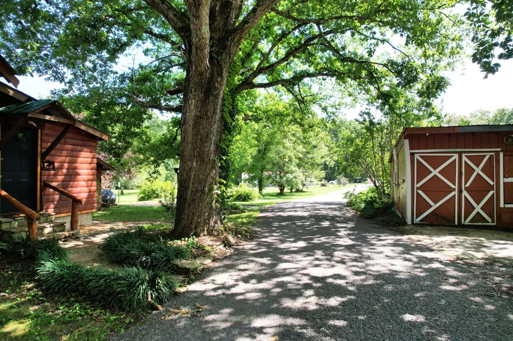 47 Stephens Lane Signal Mountain, TN 37377