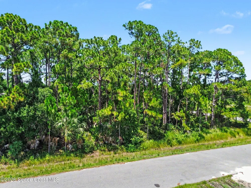 1681 Desco Street SE Palm Bay, FL 32909