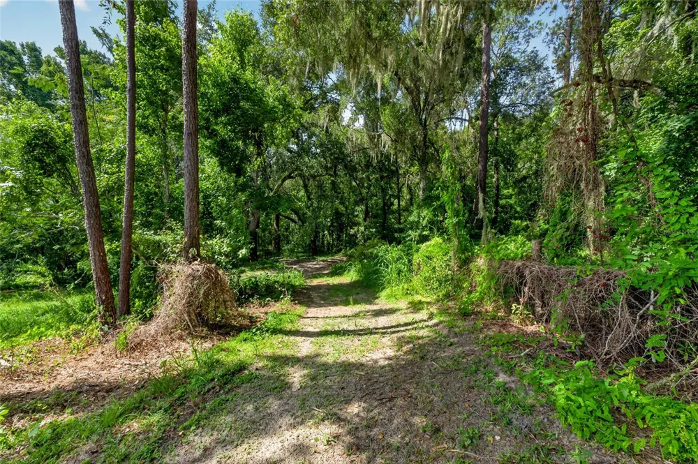 28211 MAGNON DRIVE Brooksville, FL 34601