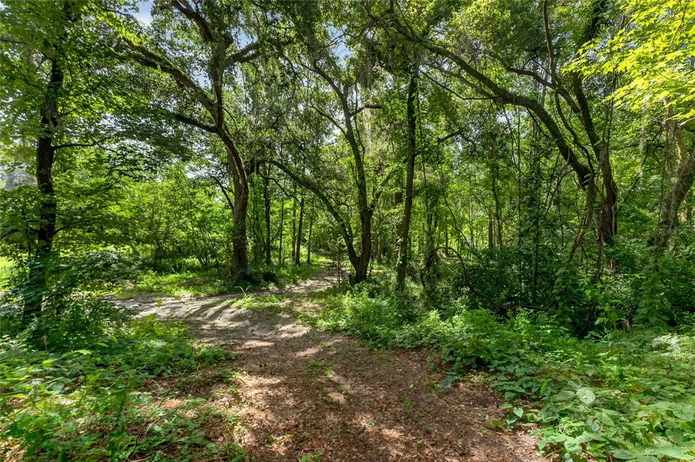 28211 MAGNON DRIVE Brooksville, FL 34601