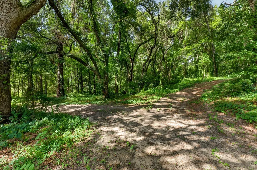 28211 MAGNON DRIVE Brooksville, FL 34601