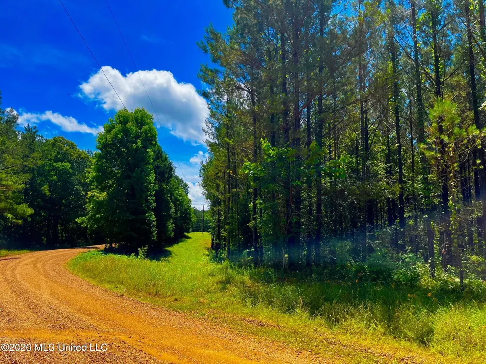Arthur Drive Brookhaven, MS 39601