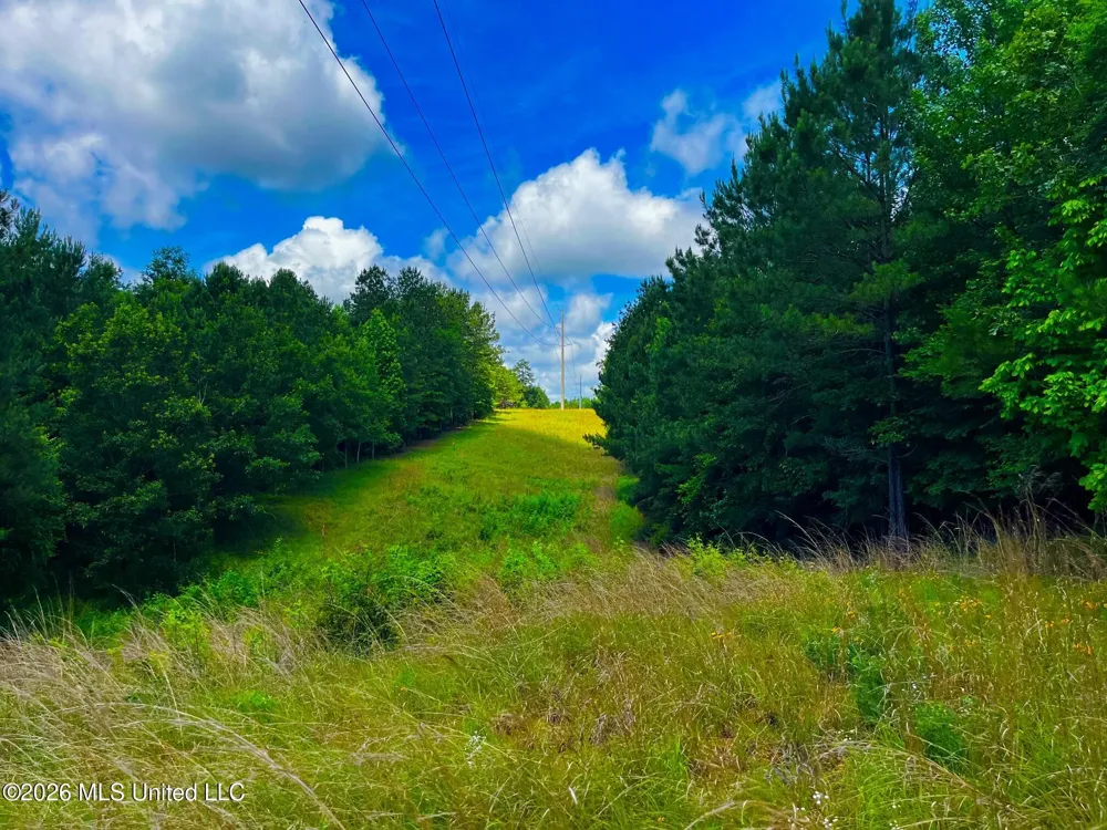 Arthur Drive Brookhaven, MS 39601