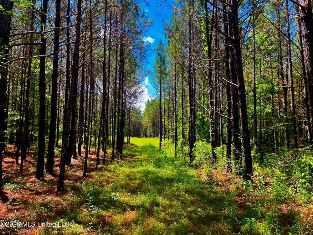 Arthur Drive Brookhaven, MS 39601