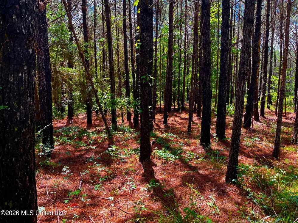Arthur Drive Brookhaven, MS 39601