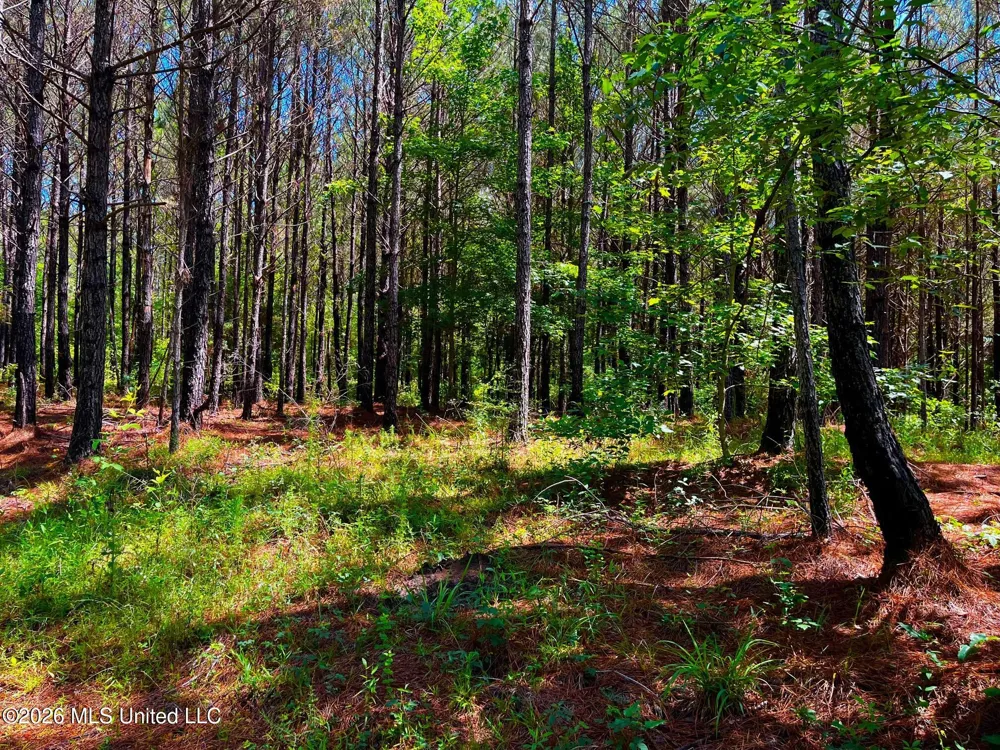 Arthur Drive Brookhaven, MS 39601