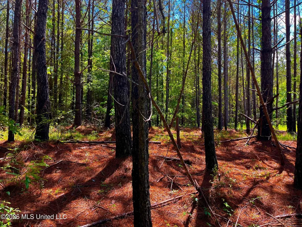 Arthur Drive Brookhaven, MS 39601