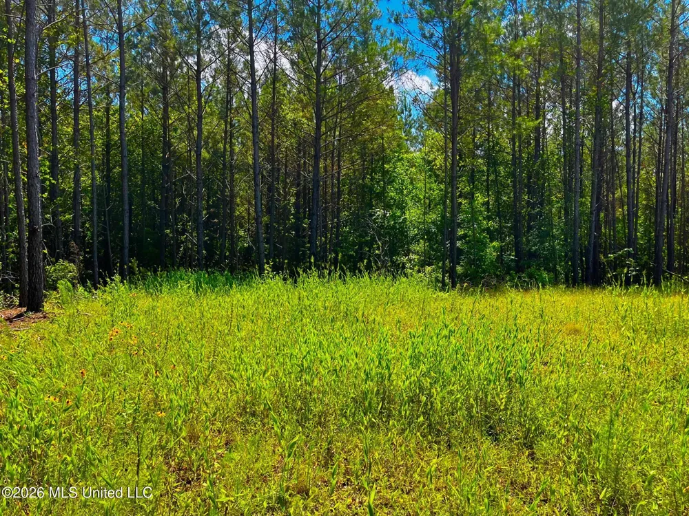 Arthur Drive Brookhaven, MS 39601