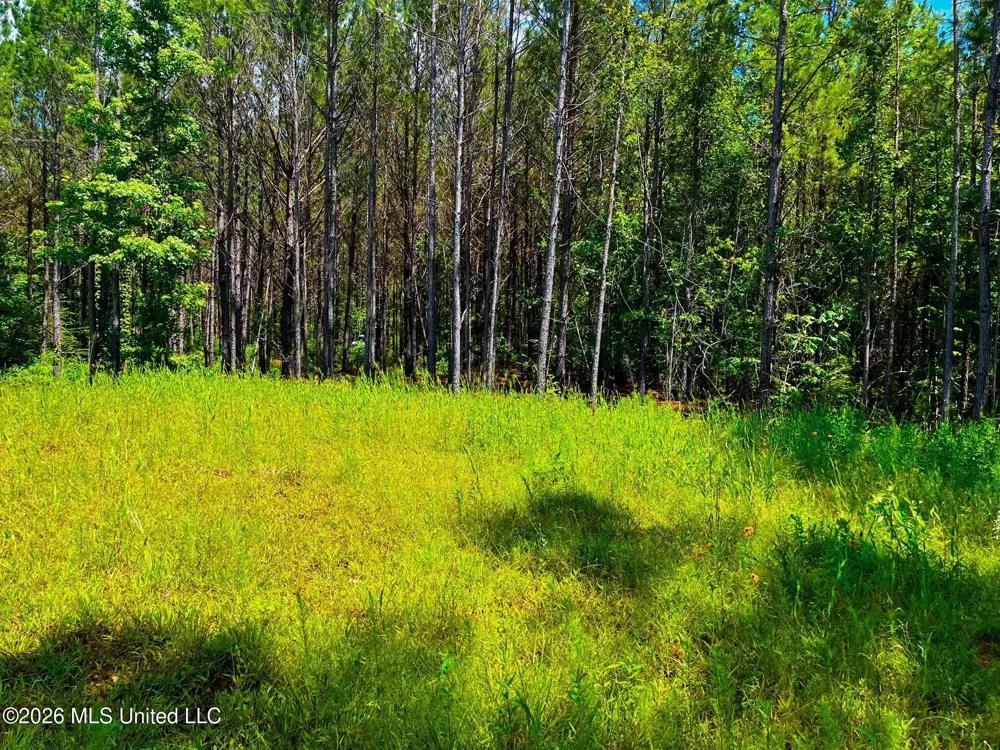 Arthur Drive Brookhaven, MS 39601