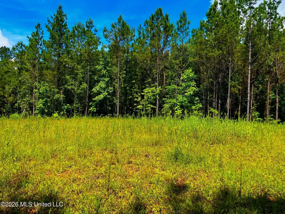 Arthur Drive Brookhaven, MS 39601