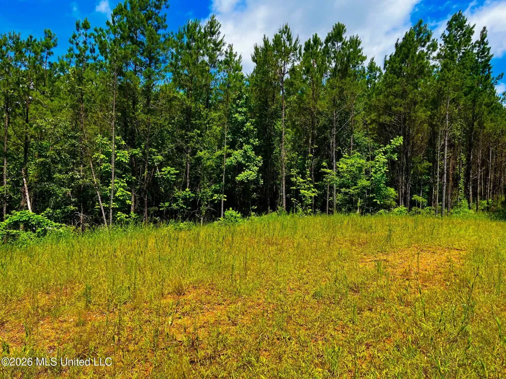 Arthur Drive Brookhaven, MS 39601