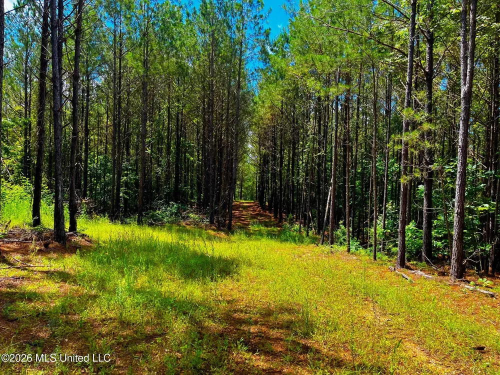 Arthur Drive Brookhaven, MS 39601