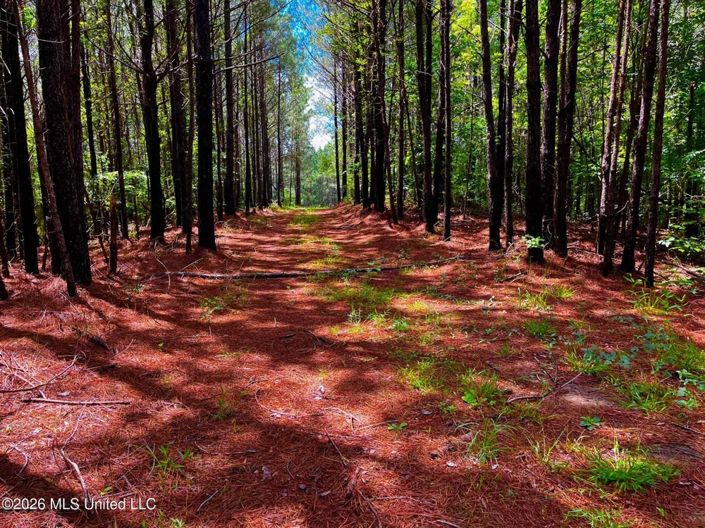 Arthur Drive Brookhaven, MS 39601