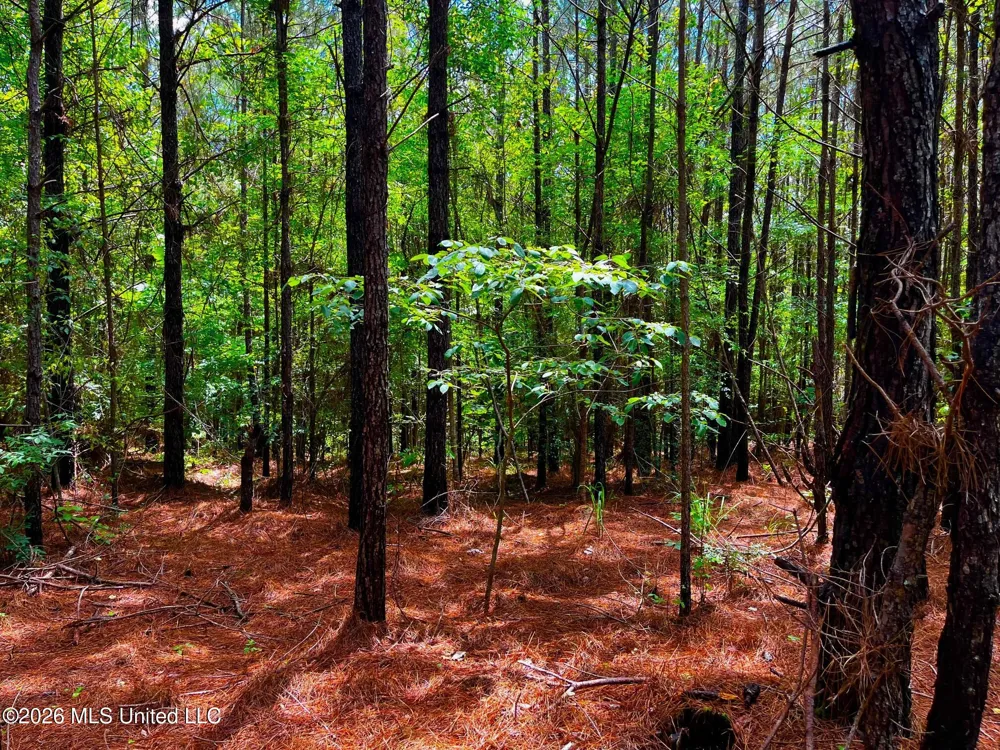 Arthur Drive Brookhaven, MS 39601