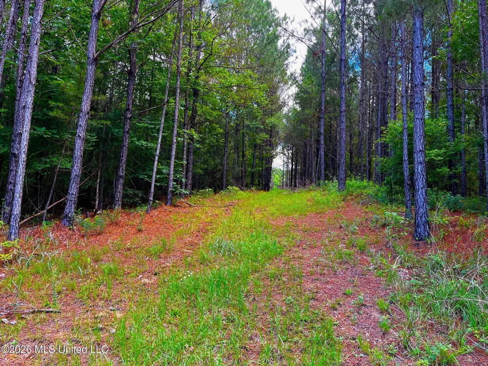 Arthur Drive Brookhaven, MS 39601