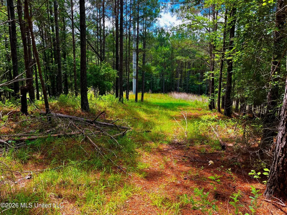 Arthur Drive Brookhaven, MS 39601
