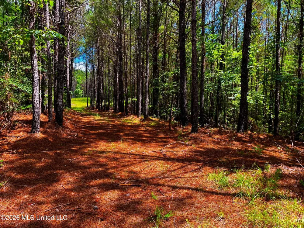 Arthur Drive Brookhaven, MS 39601