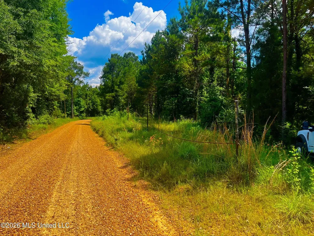 Arthur Drive Brookhaven, MS 39601