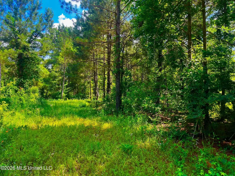 Arthur Drive Brookhaven, MS 39601