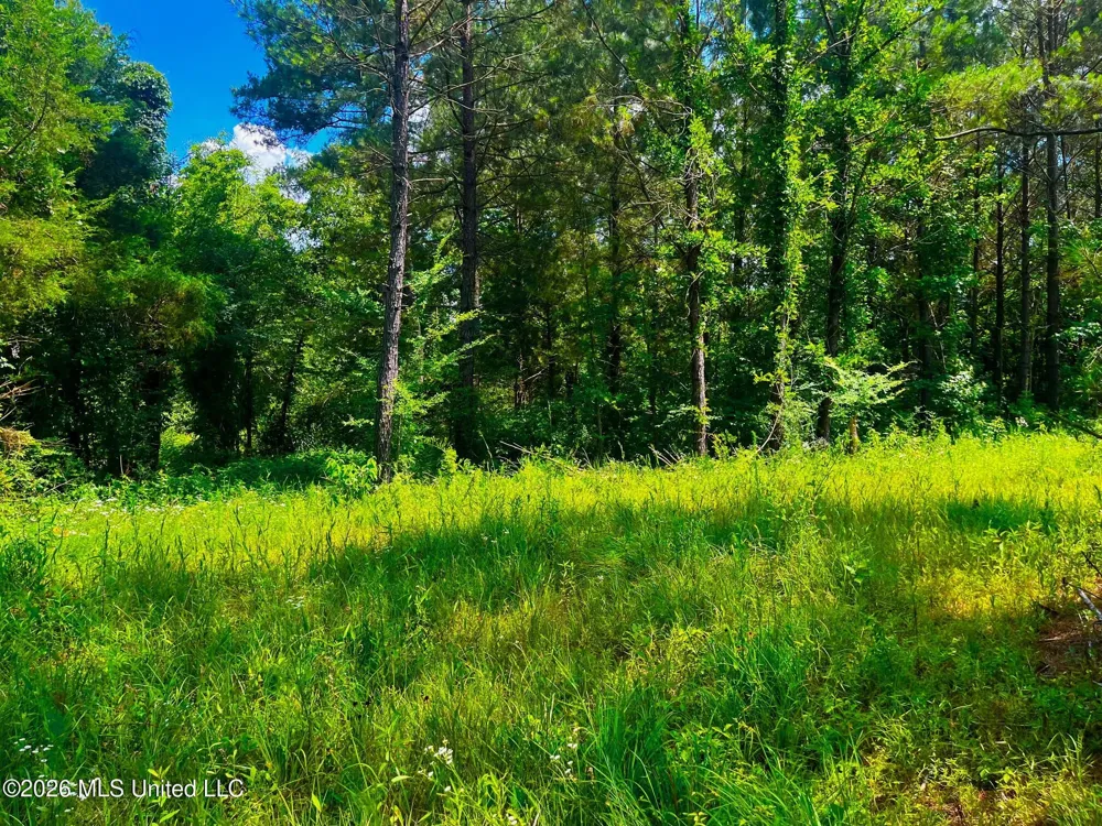 Arthur Drive Brookhaven, MS 39601