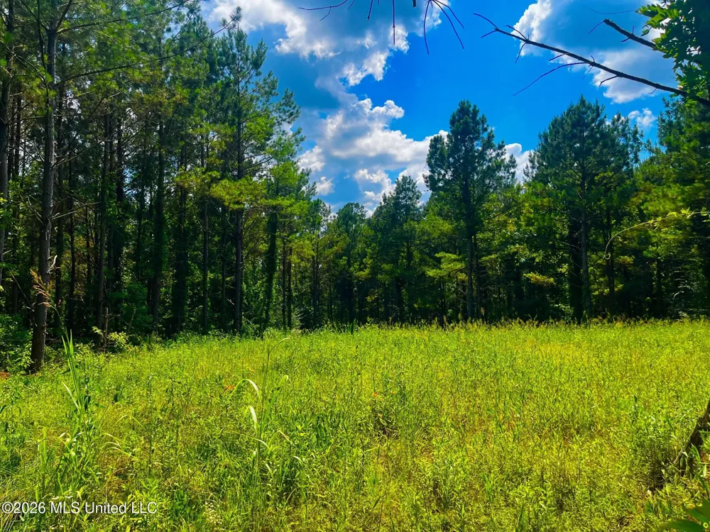 Arthur Drive Brookhaven, MS 39601
