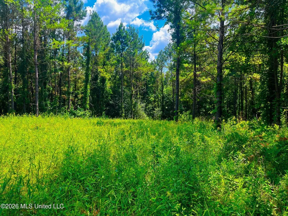 Arthur Drive Brookhaven, MS 39601