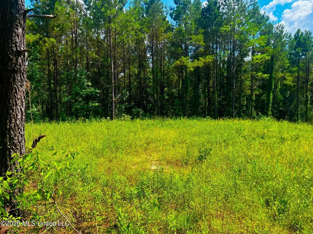 Arthur Drive Brookhaven, MS 39601