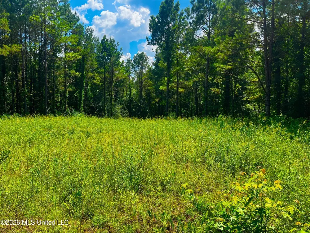 Arthur Drive Brookhaven, MS 39601