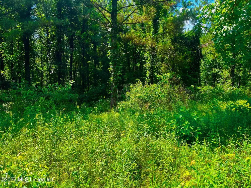 Arthur Drive Brookhaven, MS 39601