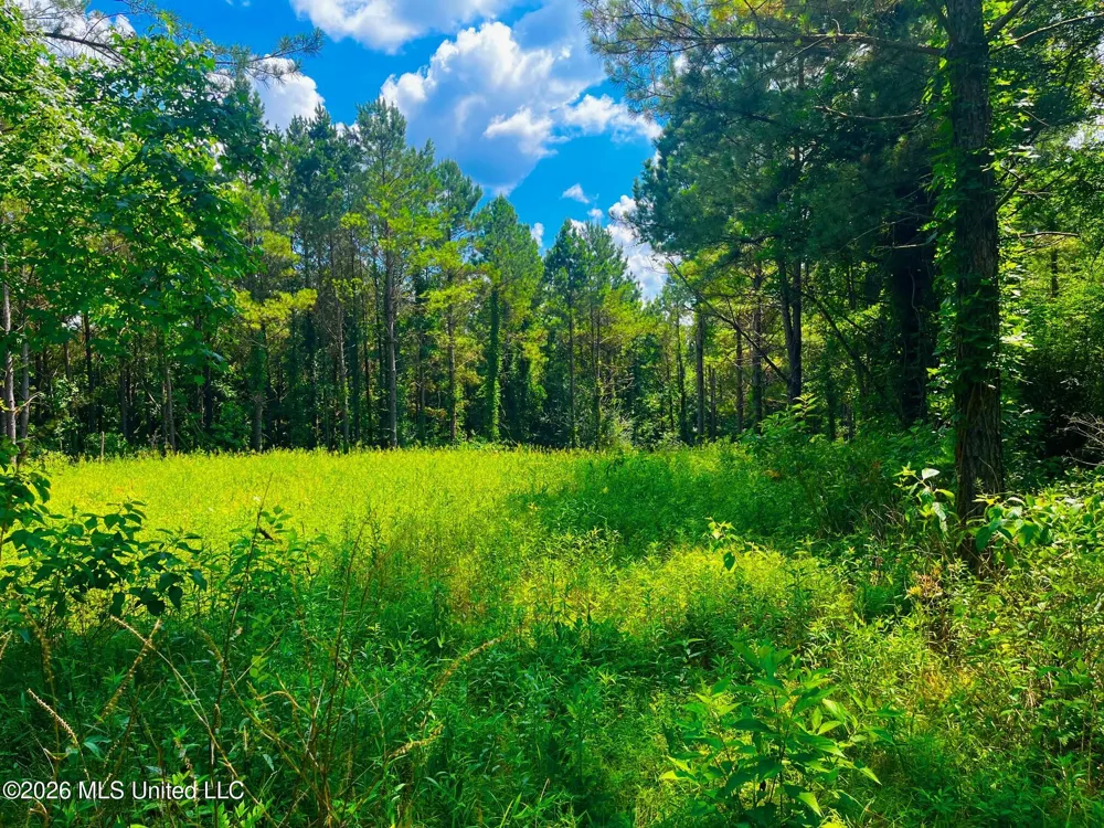 Arthur Drive Brookhaven, MS 39601